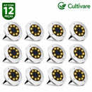 Luzes Solares para Jardim com 8 LEDs À prova d'água IP65 - PROMOÇÃO DIA DOS PAIS 🔥